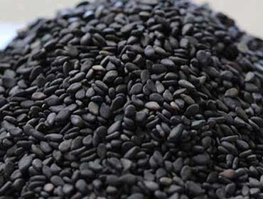 Black Sesame Seeds - HN International