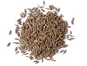 Cumin Seeds - HN International