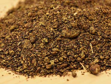Rapeseed Meal - HN International